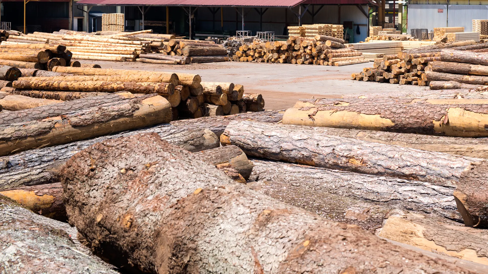 Лесная промышленность